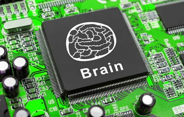 Picture electronic, brain, circuits