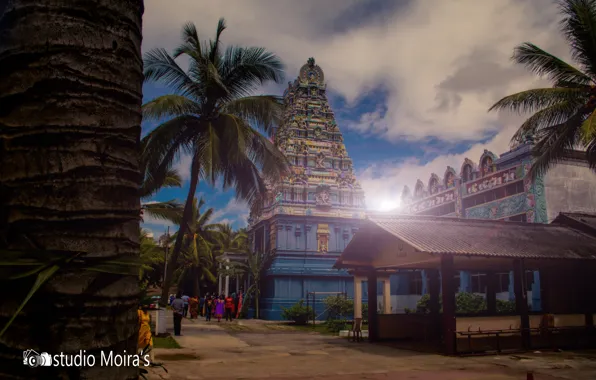 Picture nature, temple, thanu, Sri lanka, thanujan, thanujan thanabalasingam, thanujan_t, thanujan13