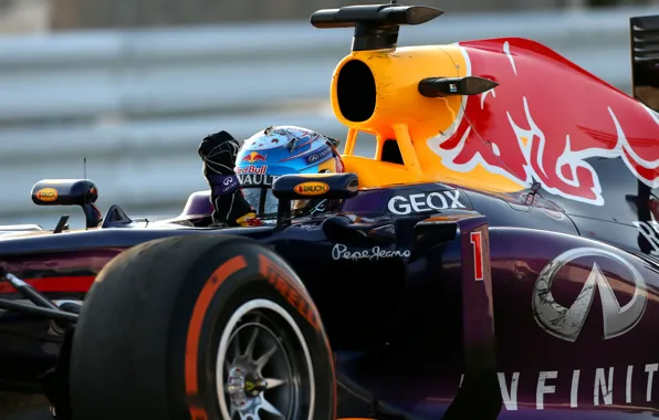 Picture Racer, Formula 1, Vettel, Champion, Sebastian
