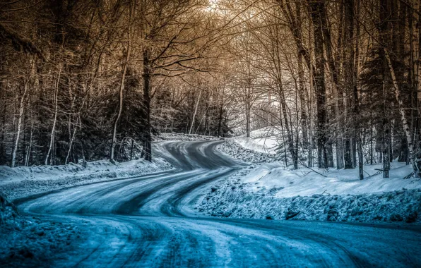 Picture winter, road, forest, landscape