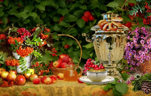 Picture flowers, apples, still life, flowers, Rowan, still life, apples, mountain ash, Samovar, Samovar