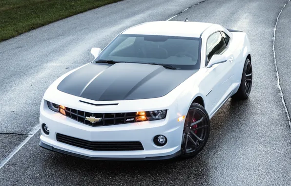 Picture road, white, Chevrolet, Camaro, Chevrolet, Camaro, the front, Muscle car, Muscle car, 1LE