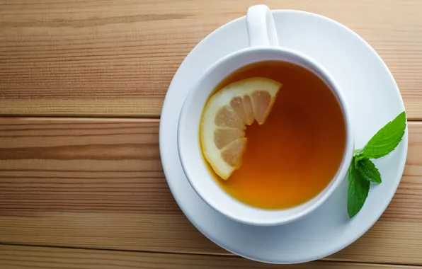 Picture lemon, tea, Cup, drink, mint, saucer