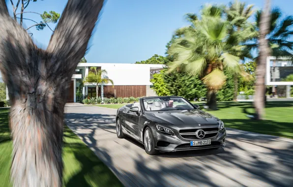 Picture Mercedes-Benz, speed, convertible, Mercedes, S-Class, 2015, S 500, A217