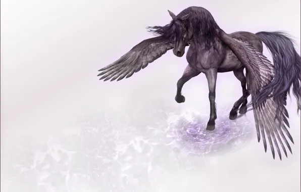 Picture rendering, wings, minimalism, Horse, Pegasus, tread