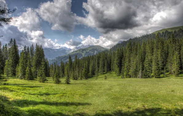 Picture forest, clouds, nature, glade, HDR