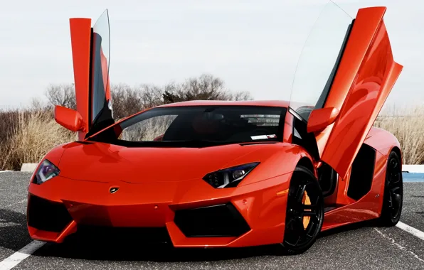 Picture orange, Lamborghini, door, supercar, the front, Lamborghini, LP700-4, Aventador, aventador