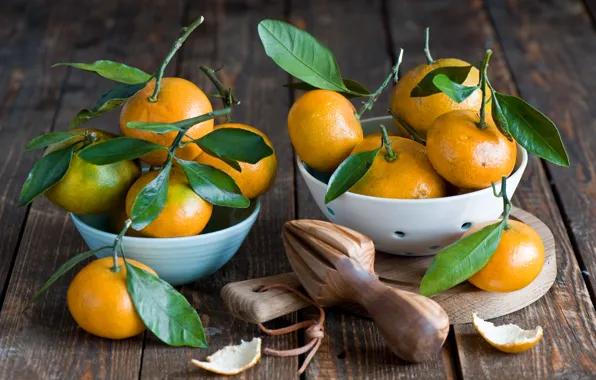 Picture leaves, dishes, fruit, citrus, tangerines, Anna Verdina
