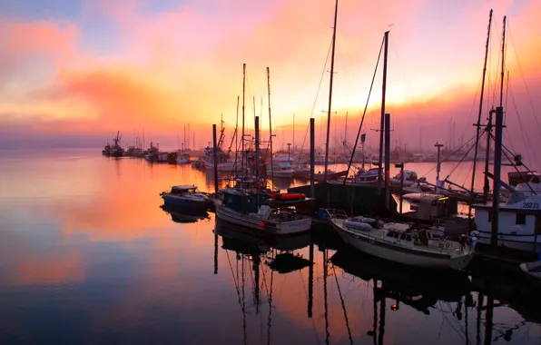 Picture sea, sunset, Marina, Alaska, boats