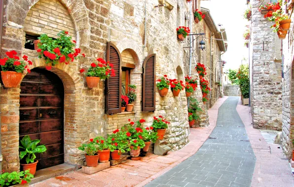 Picture flowers, home, Italy, red, pots, street, geranium