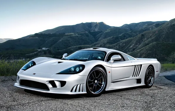 Picture Saleen, supercar, car, the front, saline