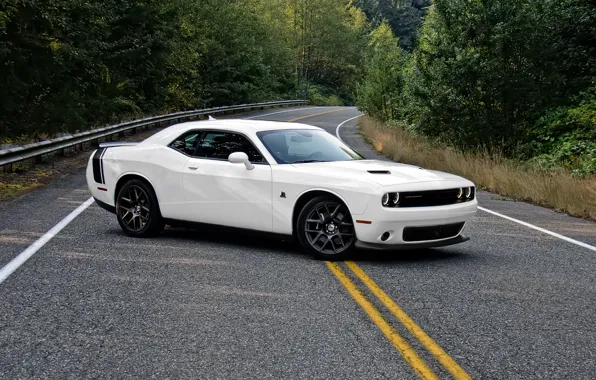 Picture Dodge, Challenger, white, road