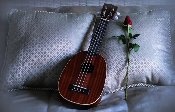 Picture rose, ukulele, pillows, Love Song