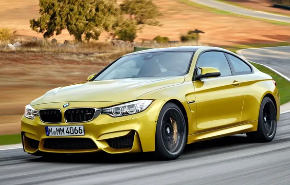 Picture road, yellow, bmw, speed, BMW