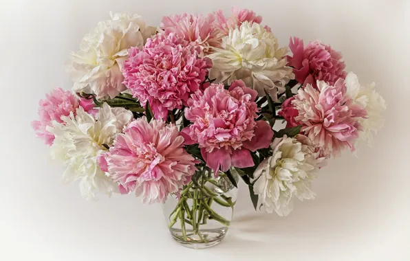 Picture background, bouquet, peonies