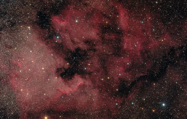 Picture nebula, Swan, North America, in the constellation, emission