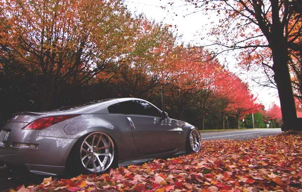 Picture autumn, street, nissan, 350z, Nissan