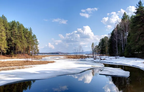 Picture winter, forest, the sky, clouds, snow, trees, nature, river