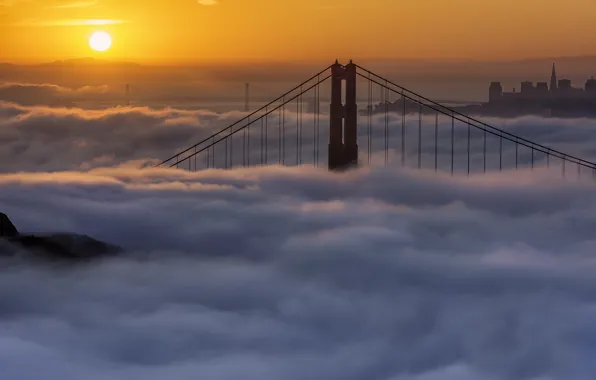 Picture fog, dawn, morning, CA, San Francisco