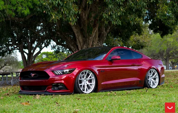 Picture Mustang, Ford, Vossen, Wheels, Graphite, VFS6