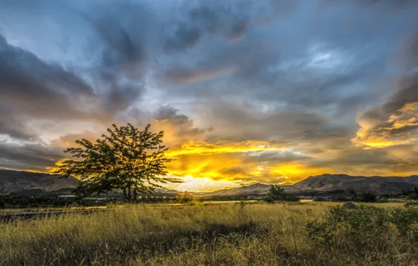 Picture the sky, grass, the sun, clouds, sunset, mountains, the city, tree, valley