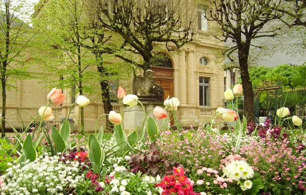 Picture flowers, castle, France, garden