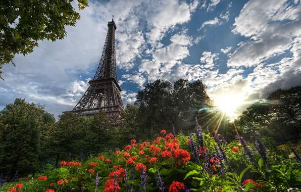 Picture the sun, trees, flowers, Paris, Eiffel tower