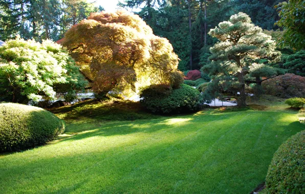 Picture grass, trees, nature, photo, garden, USA, Portland