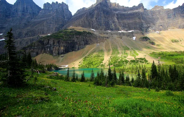 Picture grass, trees, flowers, mountains, lake, rocks, glade, USA, lawn, Glacier National Park
