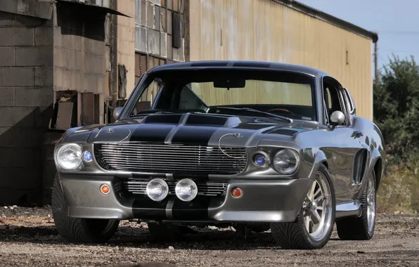 Picture Mustang, Ford, Shelby, GT500, Eleanor, 1967, Cobra
