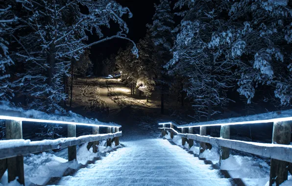 Picture winter, snow, night, bridge, Park