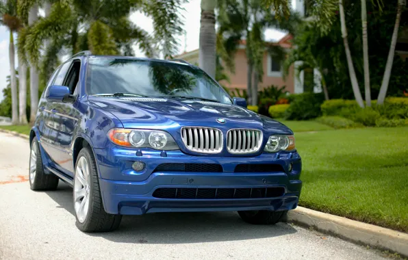 Picture E53 X5, beamer, bmw x5, BMW X5 E53 4.8is