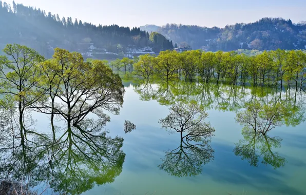 Picture trees, lake, reflection, Japan, Japan, Yamagata, Yamagata, Iide, Its Shirakawa, The Iida, lake Shirakawa