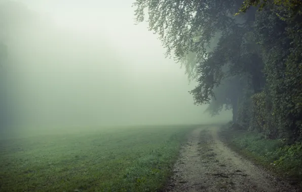 Picture road, field, nature, fog, morning