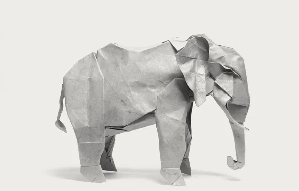 Picture paper, elephant, origami