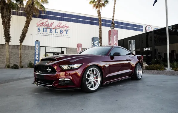Picture Mustang, Ford, Shelby, Mustang, Ford