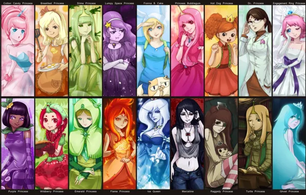 Picture Cake, princesses, Adventure Time, Ice Queen, Fionna