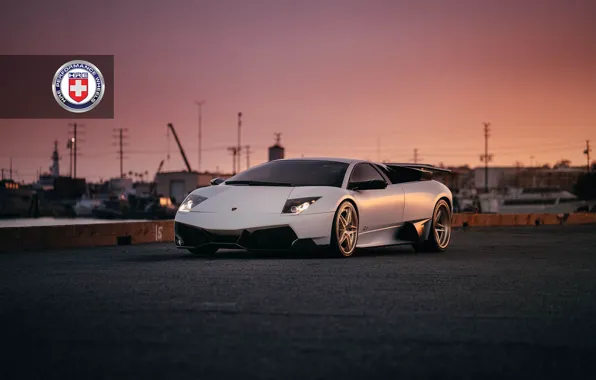 Picture Lamborghini, with, Murcielago