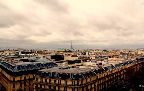 Picture Paris, skyline, France, Eiffel Tower, roofs, skyview, rooftops