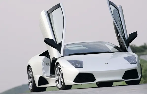 Picture view, Lamborghini, door, cars, white, Lamborghini, road white, murcilago, machines machines, Murcilago LP640