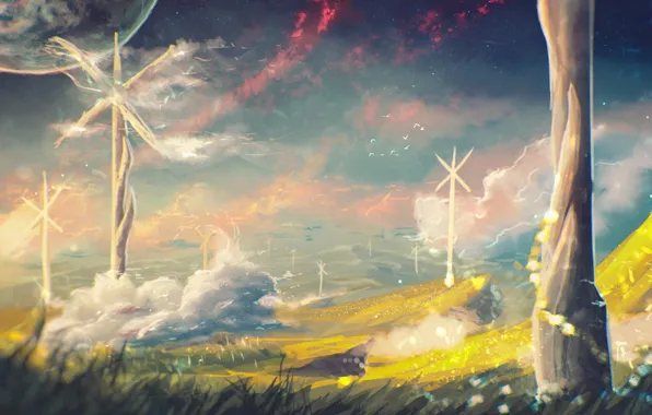 Picture field, the sky, grass, the wind, planet