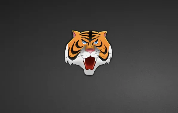 Picture tiger, minimalism, head, tiger, head