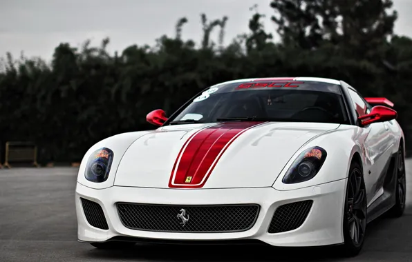 Picture Ferrari, 599, GTO, White, Supercar