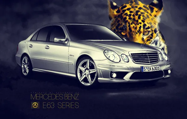 Picture mercedes-benz, amg, w211