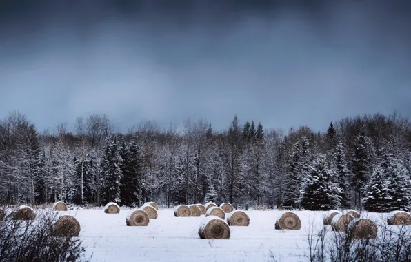 Picture winter, snow, countryside, farm, cloudy, hay, bales, woodland