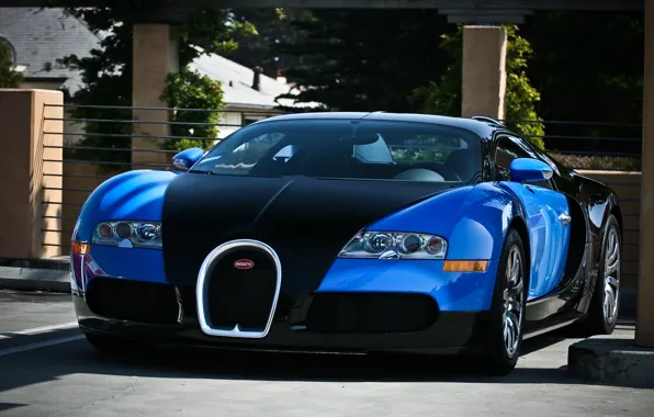 Picture Bugatti, Veyron, black, blue
