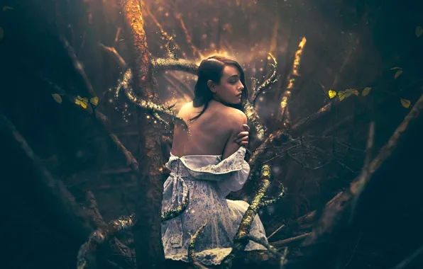 Picture forest, girl, fantasy, art, Shelby Robinson, In the Wake of Fear