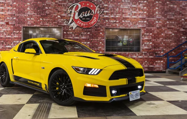 Picture tuning, Mustang, Ford, Shelby, Mustang, Ford, Shelby, GT350, Roush, 2015, R2300, Blue Oval Edition