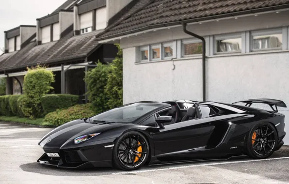 Picture Lamborghini, black, roadster, Aventador