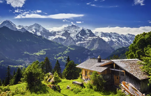 Picture grass, trees, mountains, stones, rocks, Switzerland, glacier, panorama, gorge, house, Grindelwald